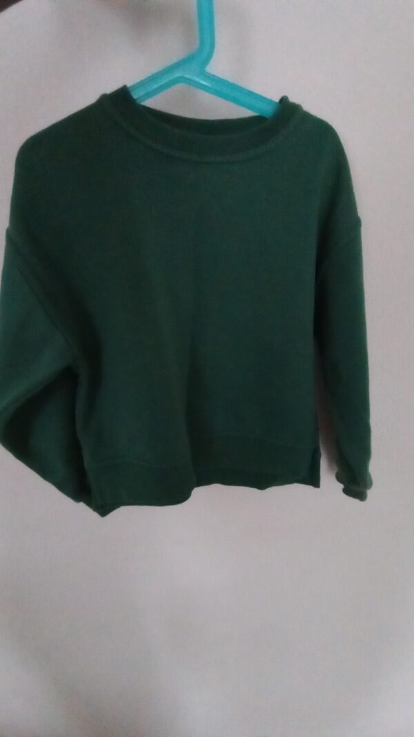 Green sweatshirt